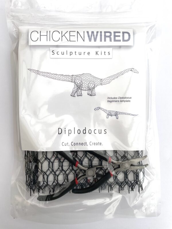 Diplodocus & beginners diplodocus - Image 2