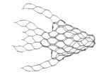 Under the Sea - Image 7