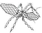 Spider & Ant - Downloadable Template & instructions - Image 2