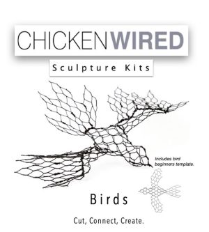 Birds & beginners bird