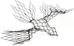 Birds - Downloadable Template & instructions