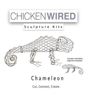 Chameleon & beginners chameleon