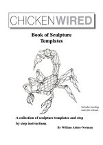 ChickenWired Book of sculpture templates - Image 2