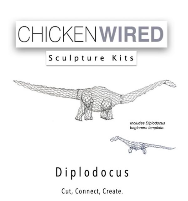 Diplodocus & beginners diplodocus