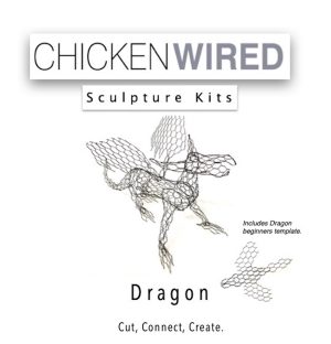 Dragon & beginners dragon