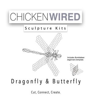 Dragonfly, butterfly & beginners bumblebee