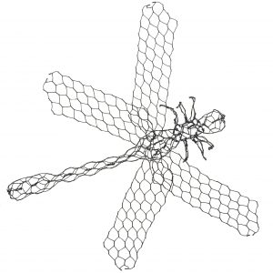 Dragonfly & bonus butterfly - Membership Downloadable Template & instructions