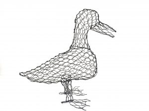 Duck - Membership Downloadable Template & instructions