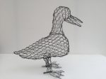 Duck & beginners duckling - Image 3