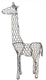 Giraffe & Beginners Giraffe - Image 3