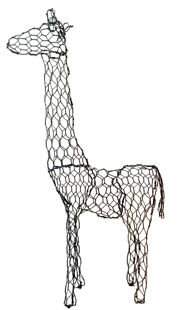 Giraffe & Beginners Giraffe - Image 3