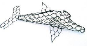 Dolphin (introductory) - Membership Downloadable Template & instructions