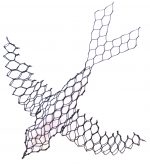 Birds - Downloadable Template & instructions - Image 2