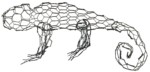 Chameleon & beginners chameleon - Image 4
