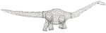 Diplodocus & beginners diplodocus - Image 3