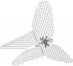 Insects - Image 5
