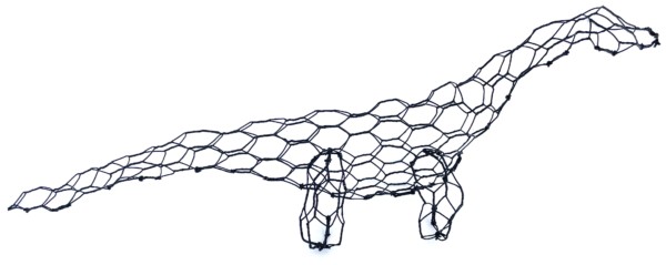 Diplodocus & beginners diplodocus - Image 4