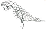 T-Rex (introductory) - Downloadable Template & instructions