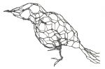 Feathered friends - Image 11
