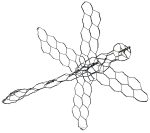 Dragonfly (introductory) - Downloadable Template & instructions