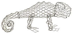 Chameleon - Membership Downloadable Template & instructions