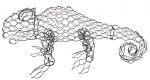 Chameleon & beginners chameleon - Image 3