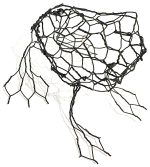 Frog - Downloadable Template & instructions