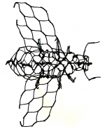 Insects - Image 8