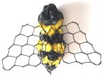 Insects - Image 10