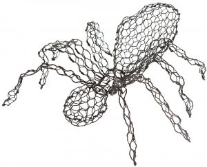 Spider & Ant - Membership Downloadable Template & instructions