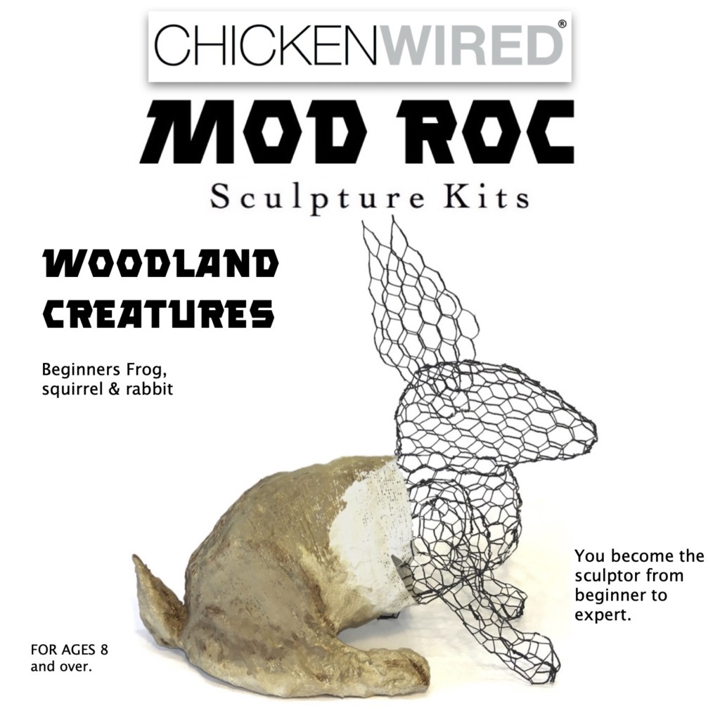 Mod Roc Insect Scupture Kits – ChickenWIRED