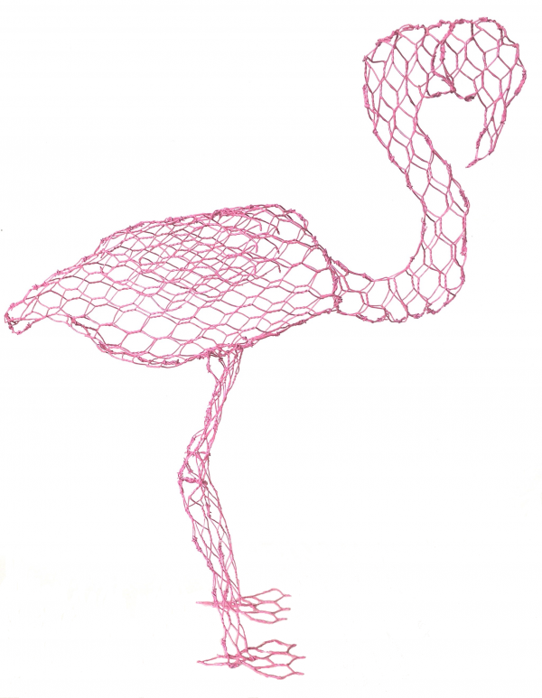 Feathered friends - Image 7