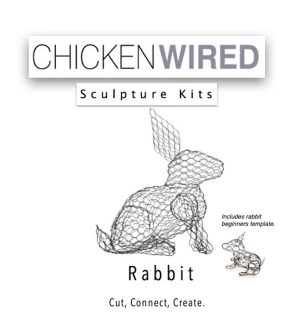Rabbit & beginners rabbit