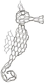 Seahorse (introductory) - Downloadable Template & instructions