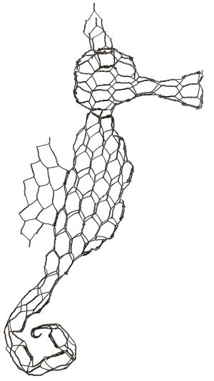 Seahorse (introductory) - Membership Downloadable Template & instructions