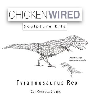 T-Rex & beginners T-Rex