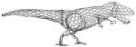 T-Rex & beginners T-Rex - Image 3