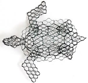 Turtle - Membership Downloadable Template & instructions