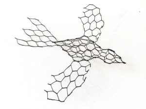 Bird (introductory) - Membership Downloadable Template & instructions